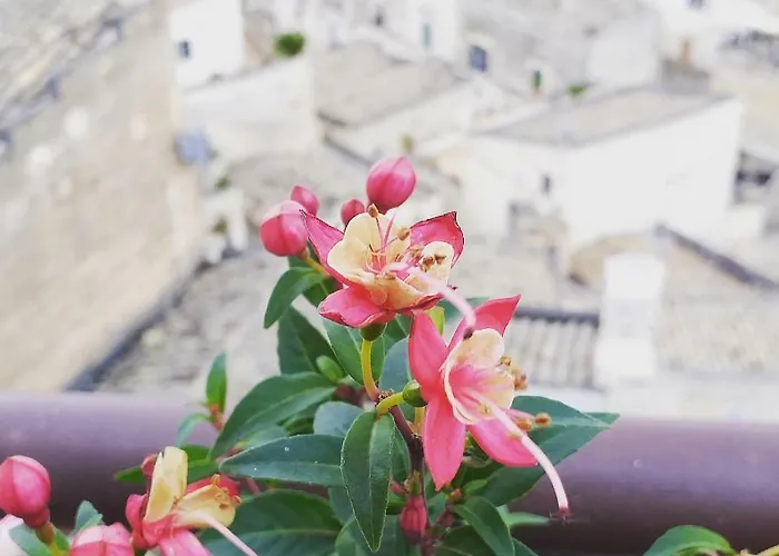 Апартаменты Sole Di Paglia *